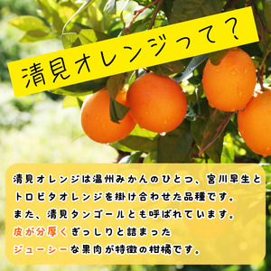 【先行予約】 秀優品 清見オレンジ 5kg 【S～３Lサイズ混合】【2027年3月中旬から2027年4月中旬頃に順次発送】/みかん 清見 和歌山 フルーツ 有田 果物 オレンジ 甘い ジューシー【ag