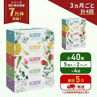 ふるさと納税 岩沼市 定期便 ティッシュ スコッティ40箱 (5箱×2P)《計4 回》[No.5704-1135]