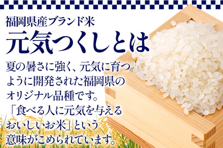 【3ヶ月 定期便】 元気つくし 合計15kg 5kg×3回 白米 お米 ご飯 米 精米 送料無料 お取り寄せグルメ お取り寄せ 福岡 お土産 九州 福岡土産 取り寄せ グルメ 福岡県