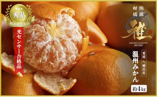 極撰柑橘＜雅＞光センサー合格品「八幡浜温州みかん」4キロ ＜C39-41＞_ 蜜柑 みかん ミカン 柑橘類 柑橘 フルーツ 果物 くだもの 人気 美味しい 愛媛県 八幡浜市 ふるさと 【1339046】 YWTF020