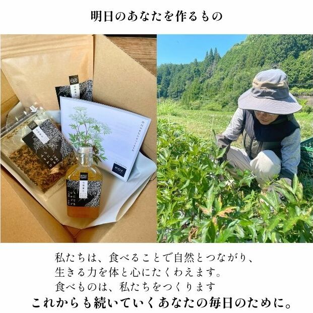 大和当帰葉商品「ちになるシリーズ」温活セット ／POWER OF FOOD ふるさと納税 生姜 シロップ 瓶 ガラス瓶 国産 食材 炭酸 大和当帰葉 有機 お湯割り 甜菜糖 ハチミツ ふりかけ お茶 