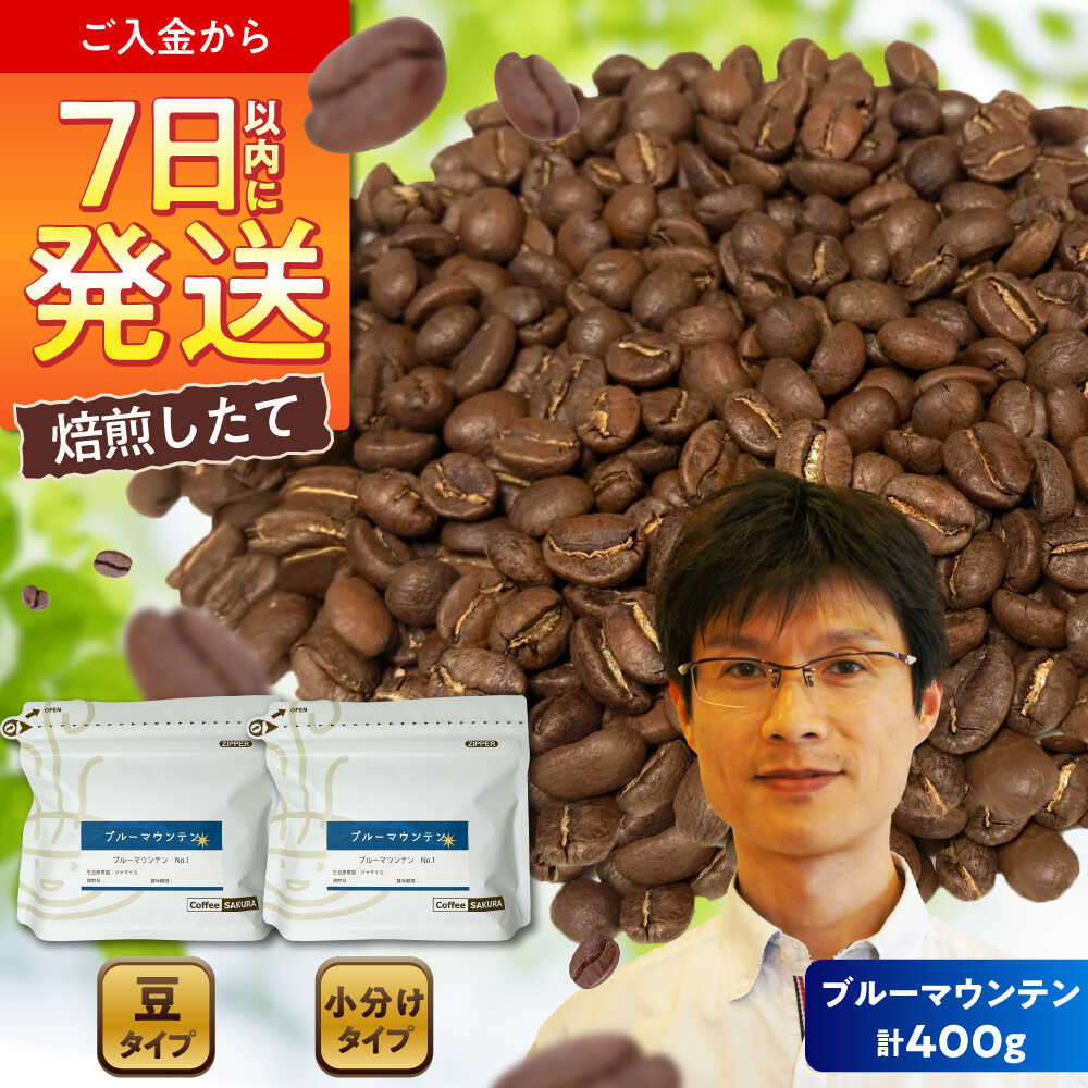 【ふるさと納税】ブルーマウンテンNo.1　コーヒー豆　200g×2個(豆のまま発送) / コーヒー ドリップ 豆 / 瀬戸市 / Coffee　SAKURA[BBAB008]