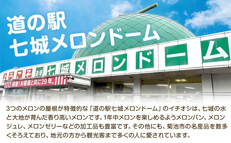 厳選 すいか 2玉 6kg～7kg