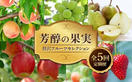 
            芳醇の果実 〜贅沢フルーツセレクション〜 全5回定期便 FSY-2239
          
