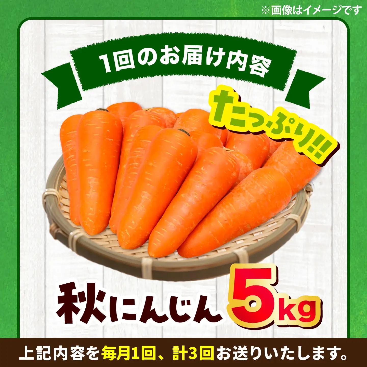 【先行予約】【2026年12月順次発送開始】【全3回定期便】秋にんじん5kg / にんじん ニンジン 野菜 β-カロテン 食物繊維 抗酸化作用 栄養満点 熊本県産 菊陽町　【株式会社 まゆみ農園】[B