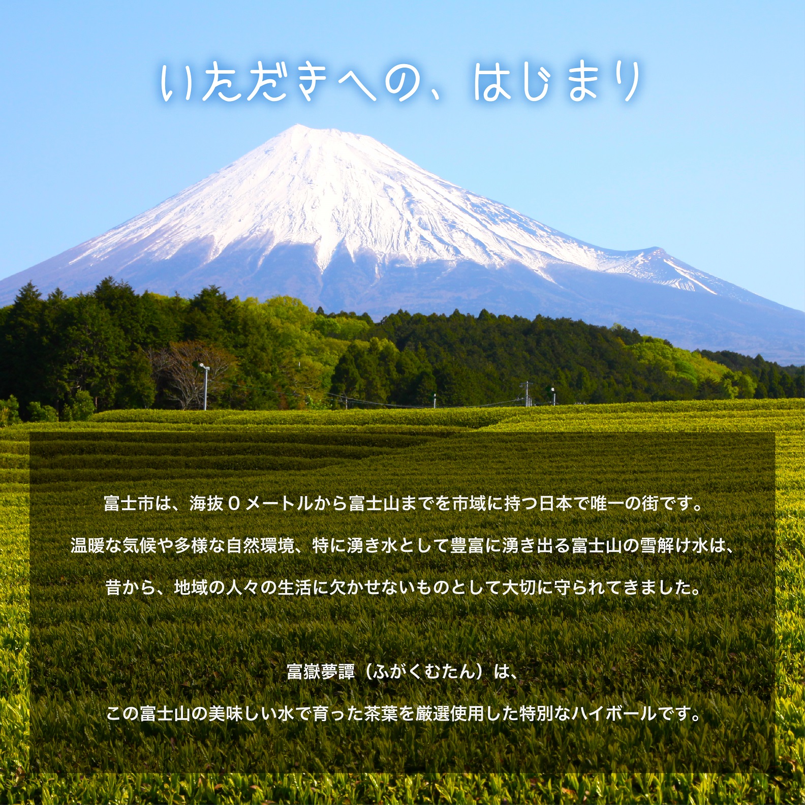 富嶽夢譚24本入(a1477)