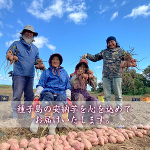 n243 しっとり安納芋の焼き芋(250g×6袋) 国産 種子島 さつまいも さつま芋 安納芋 安納いも サツマイモ 焼芋 やきいも 焼いも 冷やし焼き芋 スイーツ おやつ デザート【中園久太郎商店】