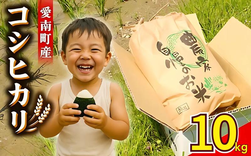 
            【 令和7年産 】 新米 令和7年産 コシヒカリ 10kg ( 5kg × 2 ) 米 お米 白米 精米 こしひかり 人気 低温 貯蔵庫 産地直送 国産 農家直送 期間限定 数量限定 特産品 先行 事前 予約 受付 令和7年度産 2025年産 新品種 大粒 もっちり 粘り 甘み おいしい おにぎり 贈答品 プレゼント 和家農園 愛南町 愛媛県
          