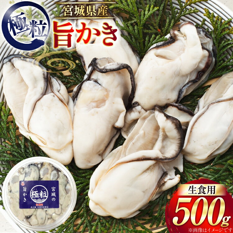【ふるさと納税】 【期間限定発送】 宮城県産 むき身 極粒旨かき 生食用 500g ×1p[丸壽阿部商店 宮城県 南三陸町 m304bir010001] かき カキ 牡蠣 生牡蠣 貝 魚介類 剥き身 むき身 殻なし 冷蔵 新鮮 なべ カキフライ 牡蠣ご飯 濃厚