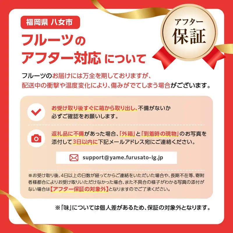 福岡県産あまおう 250g×4パック【2027年3月発送開始】＜配送不可：離島＞ あまおう いちご 苺 イチゴ 福岡県 八女市 137-001