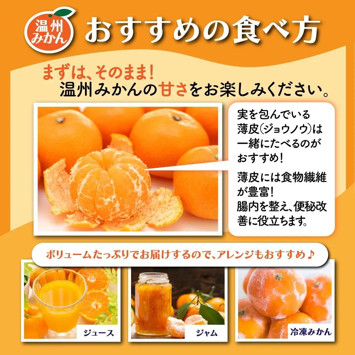 温州みかん 約8kg 佐賀県鹿島産 サイズ混合 | 《先行受付11月上旬より発送予定》みかん ミカン 甘い 小玉含む フルーツ 果物 果実 くだもの 蜜柑 柑橘 国産 冬季 大容量 家庭用 贈答 お取