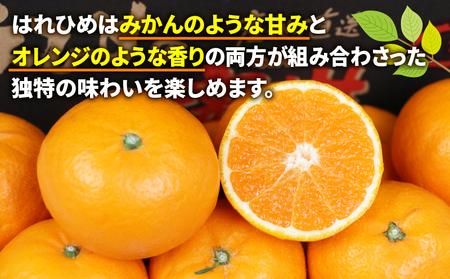 はれひめ 5kg ワールドファーマーズ 果物 フルーツ 柑橘 みかん 蜜柑 産地直送 農家直送 数量限定 国産 愛媛 宇和島 B012-024005