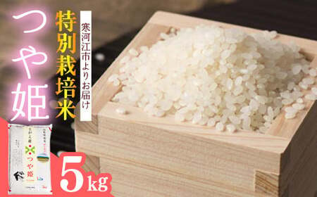 【特別栽培米】 つや姫 5kg ／ 2024年産 令和6年産 山形県産 山形産 白米 精米 小分け 便利 弁当 ブランド米 ごはん ご飯 東北 国産 5キロ 山形県寒河江市　012-C-JA032-00