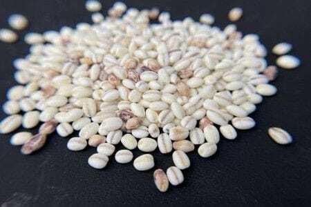 十五穀米 二種もち麦 2種4個セット（計1,200g・各300g） 雑穀米 もち麦