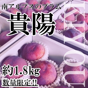 ＜2026年発送先行予約＞山梨県南アルプス市産 高級すもも 貴陽 約1.8ｋｇ 6～9玉入り ALPAH019