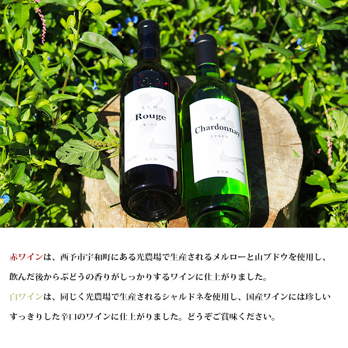 光ワイン（「赤」「白」各1本セット） 「赤」「白」各1本セット（寄附額26,000円）