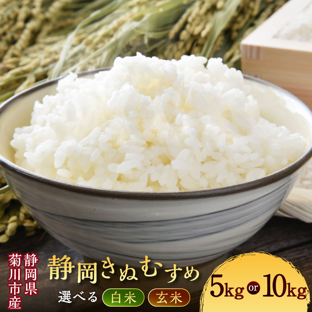 【ふるさと納税】＜選べる種類・内容量・発送時期＞【令和8年産】菊川市産 静岡きぬむすめ 白米 / 玄米 5kg×1袋 / 10kg×1袋 お米 こめ 精米 単一原料米 ごはん ご飯 お弁当 おにぎり 静岡県産 国産 静岡県 菊川市 送料無料 【2026年11月～2027年3月発送予定】
