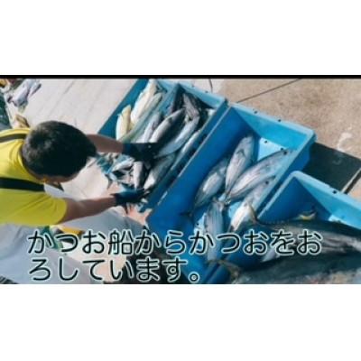 ふるさと納税 南国市 モチモチ食感!冷凍ビリかつお刺身250g×2節(醤油・ニンニク・タレ付き) |  | 03