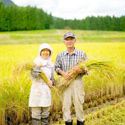 ふるさと納税 関川村 R7年産 濃厚な甘み! 岩船産コシヒカリ 精米6kg(2kg×3袋)[農家民宿おくやま] |  | 01