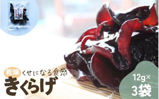 岩手県産 乾燥きくらげ 12g×3袋 コリっとプルプル食感がたまらない国産きくらげ / きくらげ 乾燥きくらげ キノコ 国産
