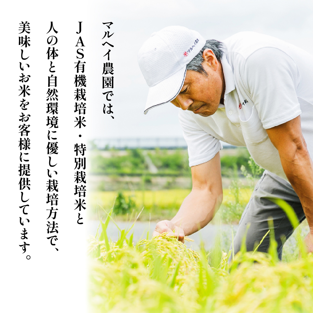 令和7年産 特別栽培米 雪若丸 10kg ( 5kg×2袋 )