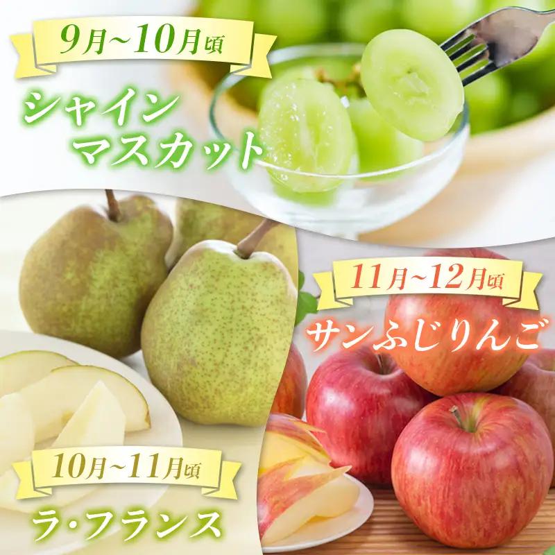 【定期便5回】☆んま～い山形☆ よく選ばれるフルーツ定期便(さくらんぼ佐藤錦／白桃／シャインマスカット／ラ・フランス／サンふじりんご) FY25-475