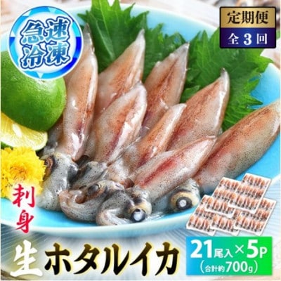 【毎月定期便】ホタルイカ(刺身・しゃぶしゃぶ用)　21尾入 × 5パック 合計約700g全3回【配送不可地域：離島】【4085458】