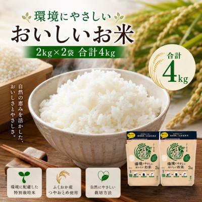 ふるさと納税 みやま市 環境にやさしいおいしいお米 つやおとめ 計4kg(2kg×2袋)(みやま市)