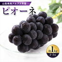 【ふるさと納税】【先行予約】山梨県南アルプス市産　ピオーネ　約1kg　2～3房〈出荷時期:2025年8月下旬～2025年9月下旬発送〉（沖縄県・離島は発送不可）【内祝い 内祝 お祝い 御祝い 御祝 お礼 御礼 プレゼント ギフト 贈り物 お歳暮 お中元 山梨県 南アルプス市 】