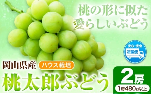 岡山県産桃太郎ぶどう 2房（480g以上）ハウス栽培 先行受付 《7月中旬‐8月下旬頃出荷》【配送不可地域あり】