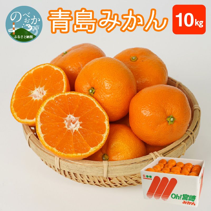 青島みかん 10kg　N0132-YB351