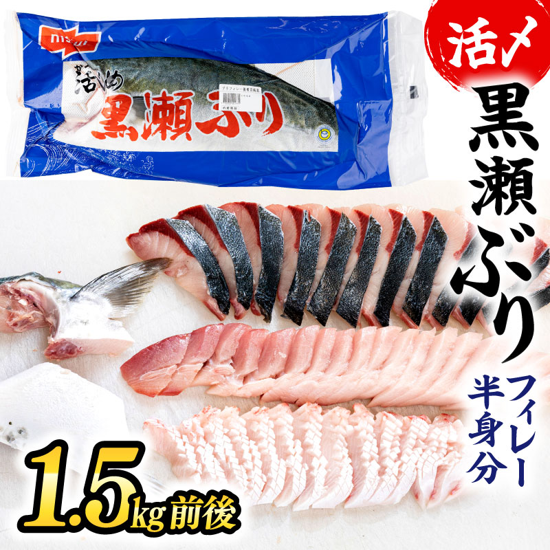 【ふるさと納税】高評価！活じめ！黒瀬ぶりの生鮮ブリフィレー 1.5kg前後 刺身や煮物、焼き物等の料理に！冷蔵 しゃぶしゃぶ たたき 海鮮丼 魚 海産物 グルメ ギフト 贈答用 お歳暮 お中元 お祝い 人気 おすすめ ブリ 寒ブリ ぶりしゃぶ 海鮮 刺身 送料無料 宮崎県 串間市