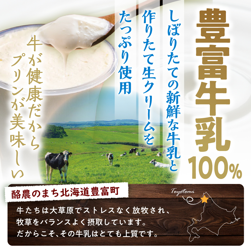 【定期便 春夏秋冬】湯あがり温泉プリン 6種類 計12個セット