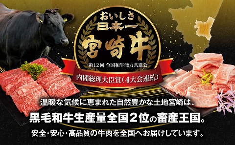 宮崎牛モモ焼肉400g×1、宮崎牛バラ焼肉400g×1、宮崎県産黒毛和牛こま切れ100g×2_M132-027