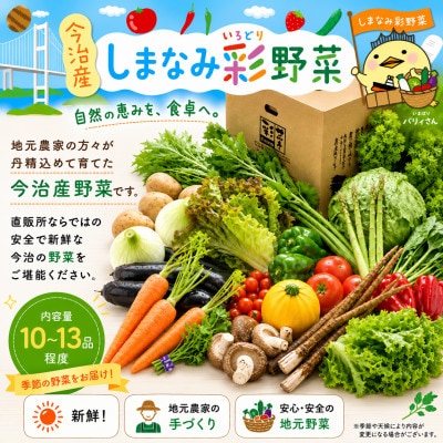 しまなみ彩野菜セット(今治産野菜の詰合せ)【VB00100】【配送不可地域：離島】