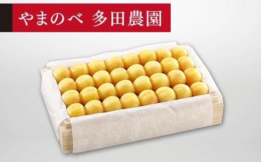 【特選月山錦】桐箱詰 約700g【やまのべ多田耕太郎のさくらんぼ 多田農園】