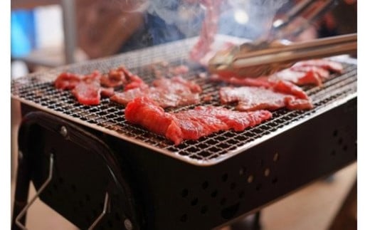 【10セット限定】GI認証取得 くまもとあか牛 焼肉用 500g