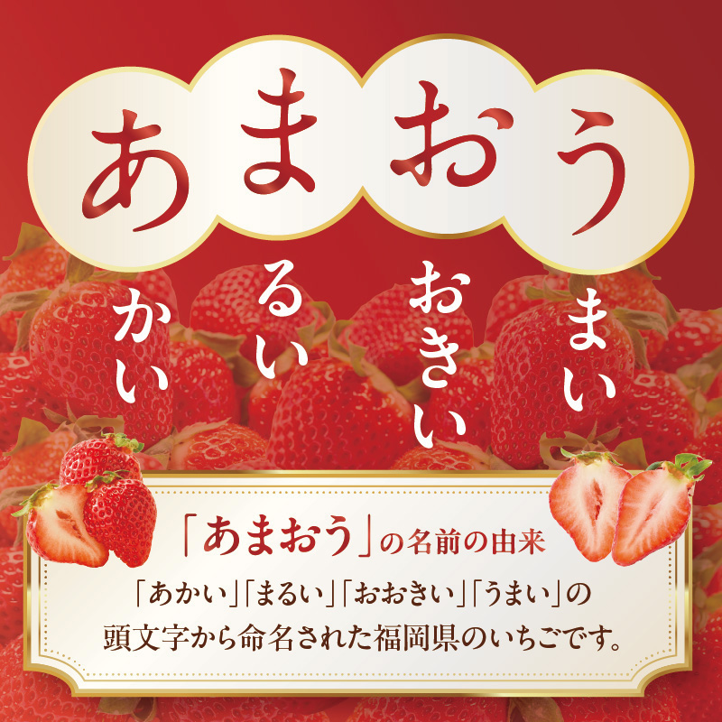 【2026年2月発送開始】博多あまおうＧ270g×6パック｜ＪＡふくおか八女 あまおう いちご 苺 イチゴ フルーツ 果物 くだもの 人気  旬 福岡県産 大粒 アフター補償 数量限定 期間限定 産地