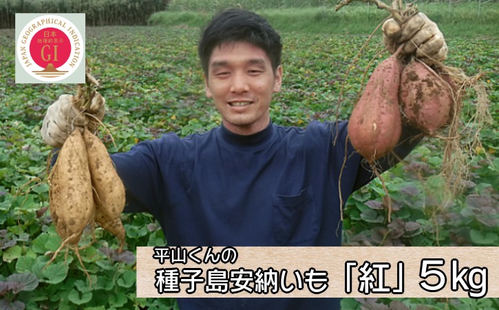 【先行予約】平山くん 種子島安納いも 「紅」 （Ｍサイズ） ５ｋｇ　NFN451【350pt】