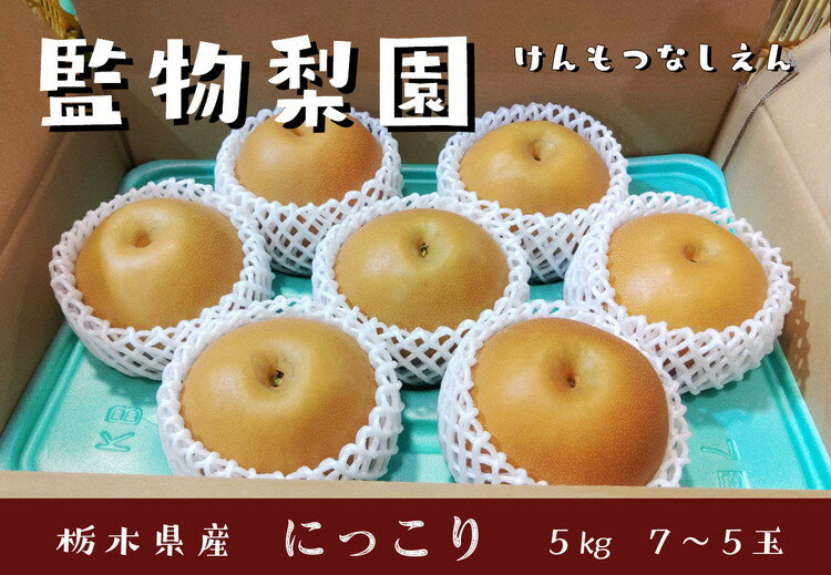 【ふるさと納税】【先行予約】栃木県産　大玉の梨【にっこり】5kg サイズ：7～5玉｜旬 産地直送 フルーツ 果物 贈答 ※北海道・沖縄・離島への配送不可 ※2025年10月下旬～11月下旬頃に順次発送予定