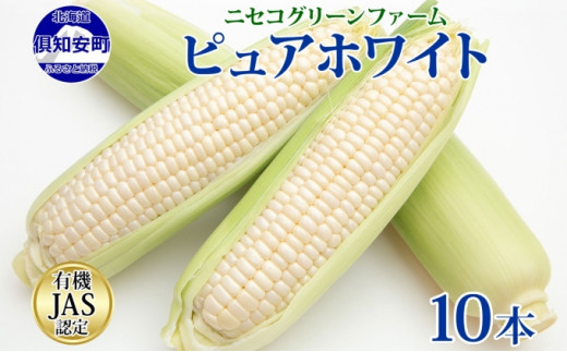 
北海道産 旬の有機栽培野菜 ピュアホワイト 10本 3kg以上 とうもろこし 白 有機栽培 オーガニック 有機野菜 有機jas認証 西洋野菜 コーン 新鮮 お取り寄せ 送料無料 ニセコグリーンファーム 北海道 倶知安町
