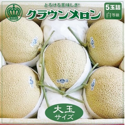 【一年中食べられる!】クラウンメロン (白等級) 大玉 5玉 静岡県産 高級 マスクメロン【配送不可地域：離島・北海道・沖縄県】