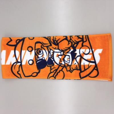 ふるさと納税 松山市 パイレーツ応援セット　(マフラータオル、メッシュキャップ、バッグにもなるシートクッション)　 |  | 01