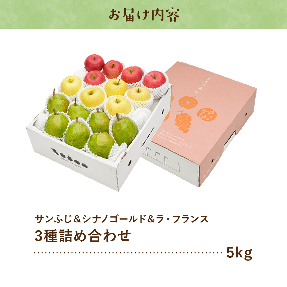 【2026年産】サンふじ&シナノゴールド＆ラフランス 詰め合わせ 5kg 秀品 化粧箱入り 山形県 東根市 東根農産センター提供 hi027-213-r8_イメージ3