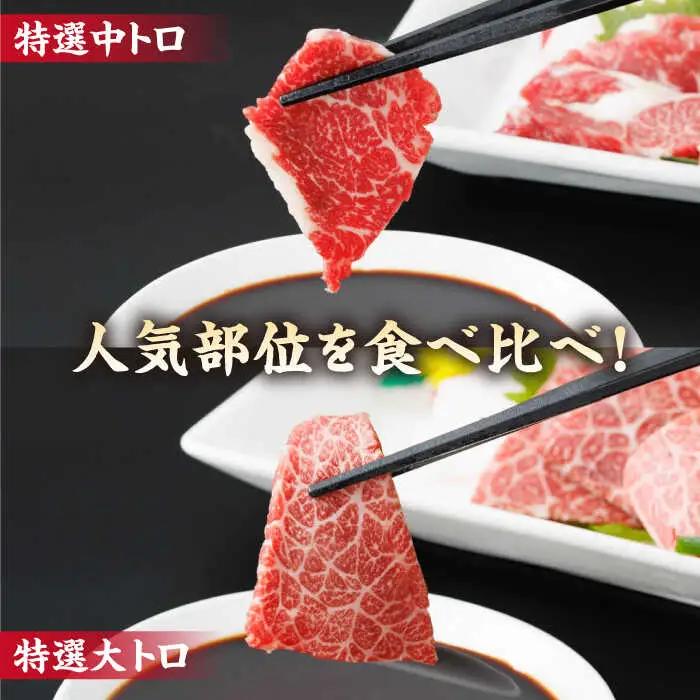 【6回定期便】特選霜降り馬刺し 中トロ大トロ2種食べ比べセット 計200g（各1pc）【馬刺しの郷 民守】 2種馬刺しセット 中トロ 大トロ 熊本 霜降り 特選 [ZBL078]