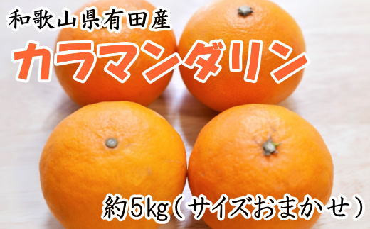 【春みかん】和歌山有田産カラマンダリン約5kg(サイズおまかせ)※2027年4月上旬～2027年5月中旬頃【tecj1022】