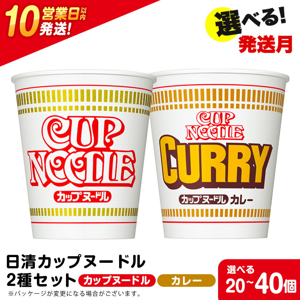 【ふるさと納税】 日清ヌードル2種セット カップヌードル・カレーヌードル 選べる各10食・各20食入 合計20食・40食 麺類 ラーメン麺 即席麺 麺類 ラーメン カップ麺 インスタント 麺類 カップラーメン 【北海道千歳市】ギフト ふるさと納税