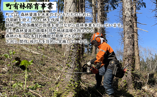 《返礼品なし》ふるさとしかべ応援寄附金 自然環境保全に関する事業