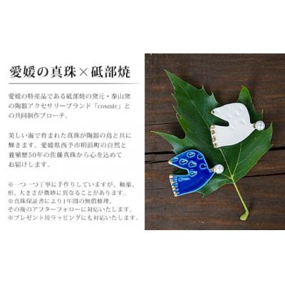 ふるさと納税 西予市 保証書付<明浜産 真珠ブローチ イルカ(青)> 8.0〜8.5mm 純国産 高品質 アコヤ真 |  | 02