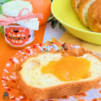 ふるさと納税 徳之島町 徳之島産フルーツ使用!低糖度の徳之島完熟たんかんジャム&すももジャム(100g×2) |  | 01